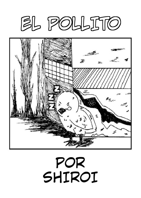 EL POLLITO